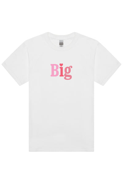 Big Little Collection – The Social Life