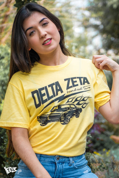 Delta Zeta Highway Tee