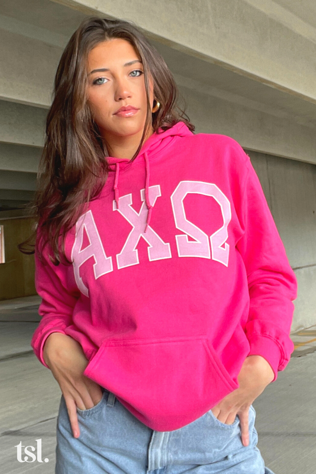 Alpha Omicron Pi Pink Rowing Letters Hoodie