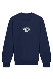 Alpha Epsilon Phi Illusion Crewneck Sweatshirt